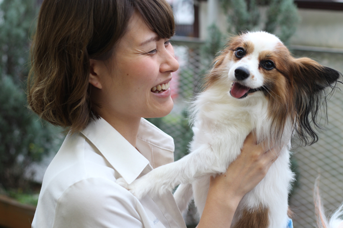 保護動物への医療協力