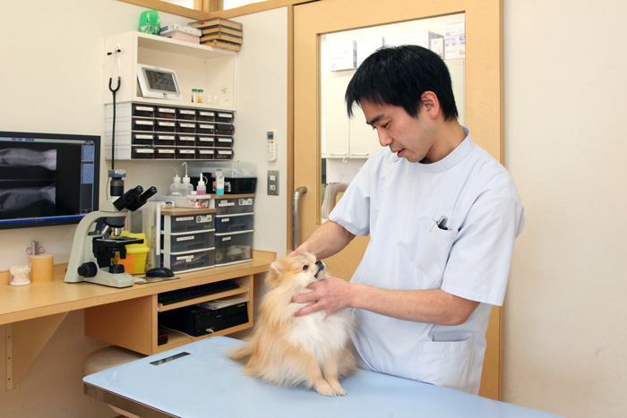 保護動物への医療協力